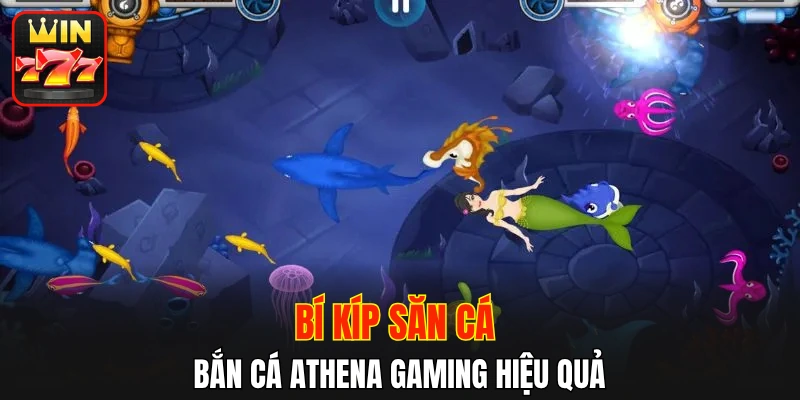 Bí kíp săn cá bắn cá Athena Gaming hiệu quả