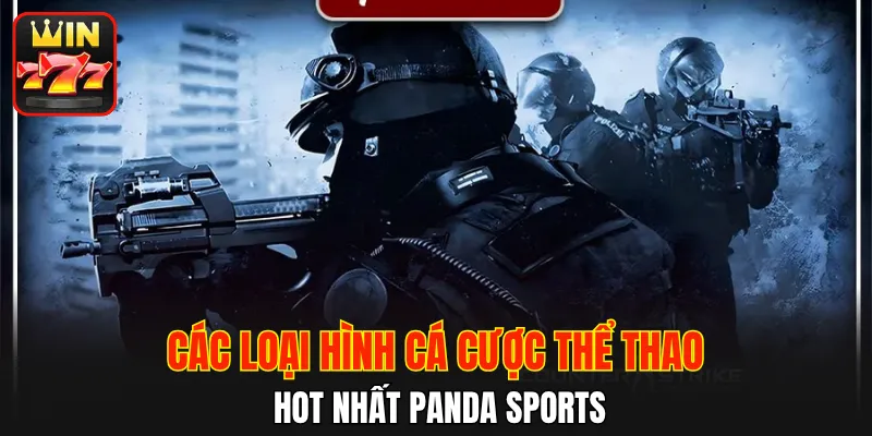 Các loại hình cá cược thể thao hot nhất Panda Sports