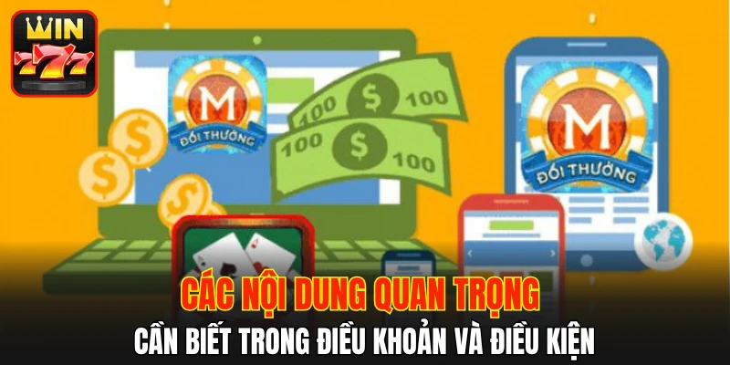 Các nội dung quan trọng cần biết trong điều khoản và điều kiện