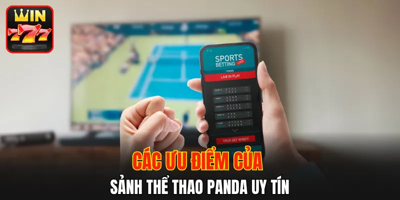 Các ưu điểm của sảnh thể thao Panda uy tín