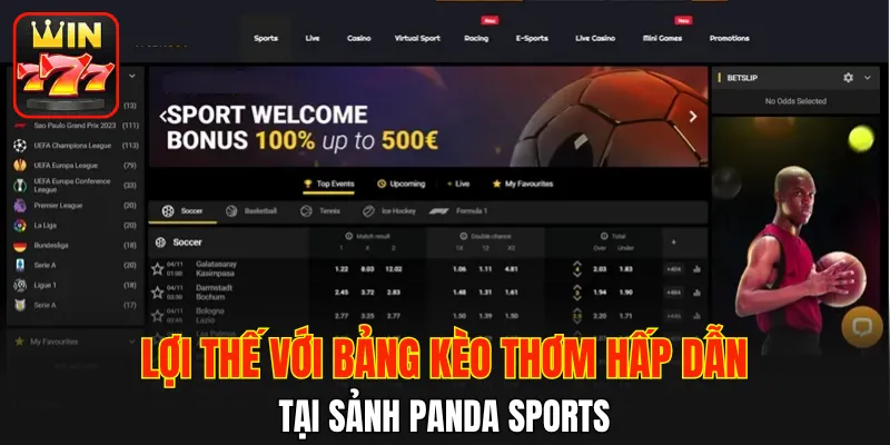 Lợi thế với bảng kèo thơm hấp dẫn tại sảnh Panda Sports 